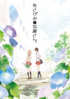 Kimi no Hikari: Asagao to Kase-san. (Dub)